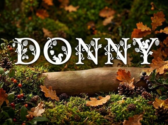 Donny: A Display Font That Elevates Your Editorial Design